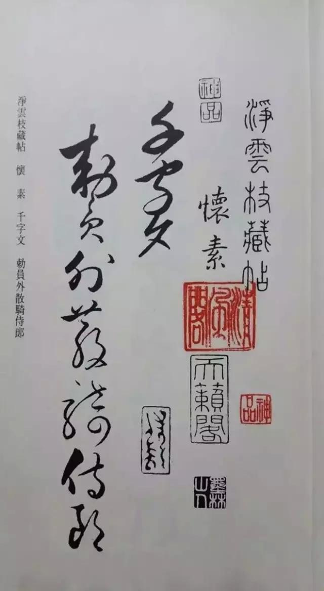 罕见的怀素草书《千字文》！