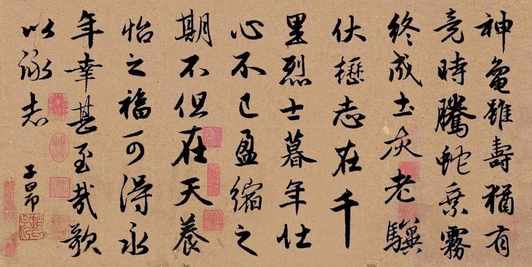 赵孟頫集字《龟虽寿》，很精彩！